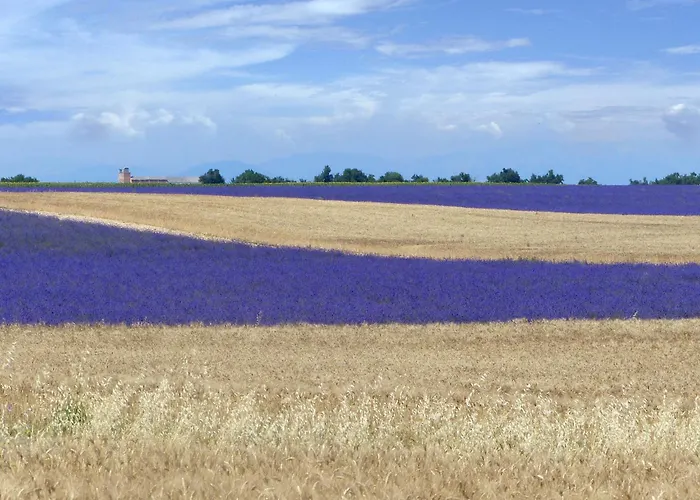 Avec Vue By Interhome 公寓