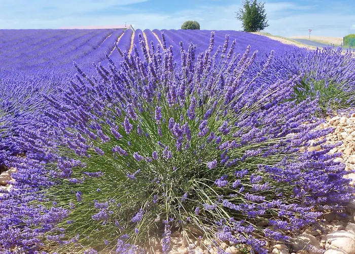 Avec Vue By Interhome 韦尔东的圣克鲁瓦